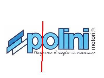 POLINI-Logo.jpg
